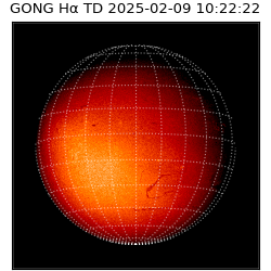 gong - 2025-02-09T10:22:22
