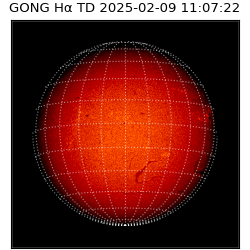 gong - 2025-02-09T11:07:22
