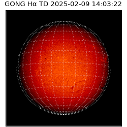 gong - 2025-02-09T14:03:22