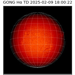 gong - 2025-02-09T18:00:22