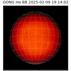 gong - 2025-02-09T19:14:02