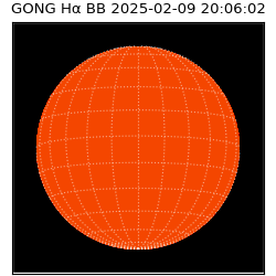 gong - 2025-02-09T20:06:02