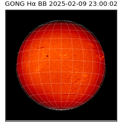 gong - 2025-02-09T23:00:02