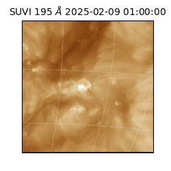 suvi - 2025-02-09T01:00:00.081000