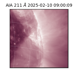 saia - 2025-02-10T09:00:09.626000
