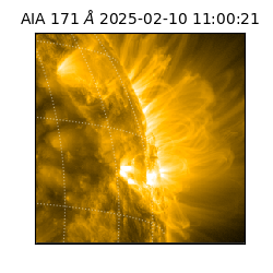 saia - 2025-02-10T11:00:21.350000