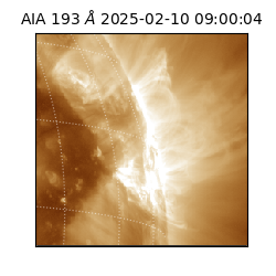 saia - 2025-02-10T09:00:04.843000