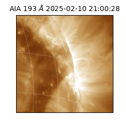 saia - 2025-02-10T21:00:28.843000