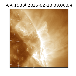 saia - 2025-02-10T09:00:04.843000