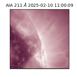 saia - 2025-02-10T11:00:09.629000