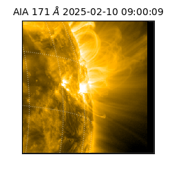 saia - 2025-02-10T09:00:09.350000