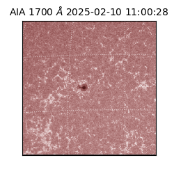 saia - 2025-02-10T11:00:28.721000