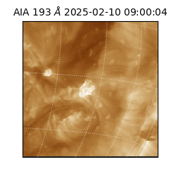saia - 2025-02-10T09:00:04.843000