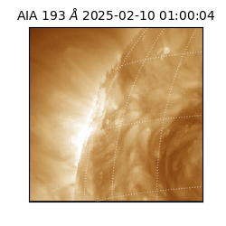 saia - 2025-02-10T01:00:04.835000