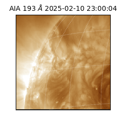 saia - 2025-02-10T23:00:04.846000