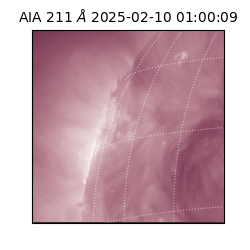 saia - 2025-02-10T01:00:09.618000