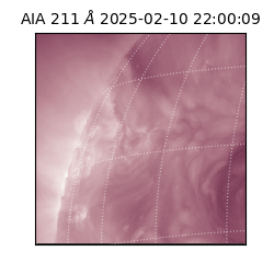 saia - 2025-02-10T22:00:09.625000