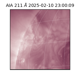 saia - 2025-02-10T23:00:09.629000