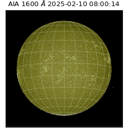 saia - 2025-02-10T08:00:14.130000
