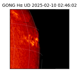 gong - 2025-02-10T02:46:02