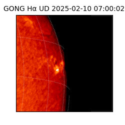 gong - 2025-02-10T07:00:02