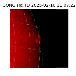 gong - 2025-02-10T11:07:22