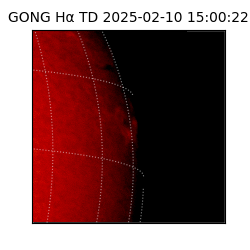 gong - 2025-02-10T15:00:22