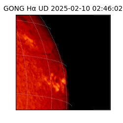 gong - 2025-02-10T02:46:02