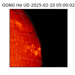gong - 2025-02-10T05:00:02