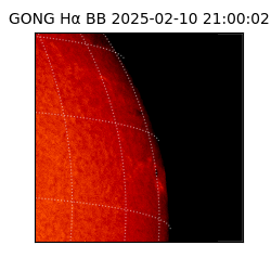 gong - 2025-02-10T21:00:02