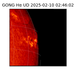 gong - 2025-02-10T02:46:02