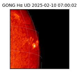 gong - 2025-02-10T07:00:02