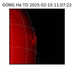 gong - 2025-02-10T11:07:22