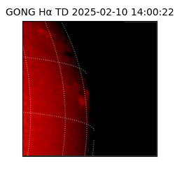 gong - 2025-02-10T14:00:22