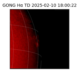 gong - 2025-02-10T18:00:22