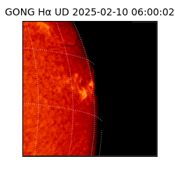 gong - 2025-02-10T06:00:02