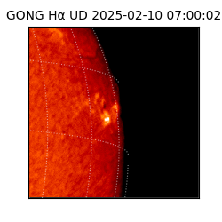 gong - 2025-02-10T07:00:02