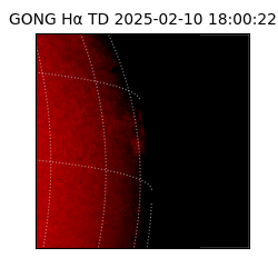 gong - 2025-02-10T18:00:22