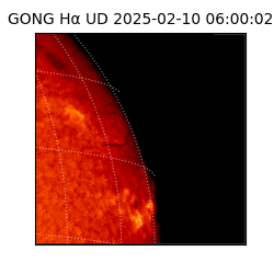 gong - 2025-02-10T06:00:02