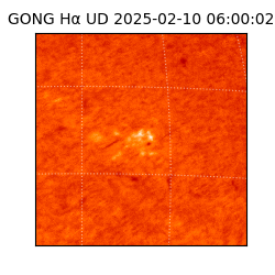 gong - 2025-02-10T06:00:02