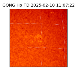 gong - 2025-02-10T11:07:22