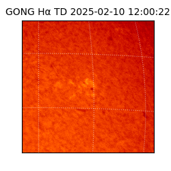 gong - 2025-02-10T12:00:22