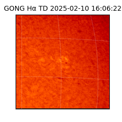 gong - 2025-02-10T16:06:22