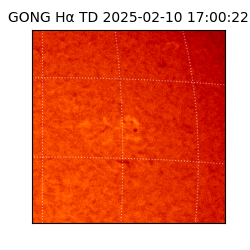 gong - 2025-02-10T17:00:22