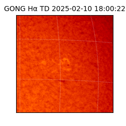 gong - 2025-02-10T18:00:22