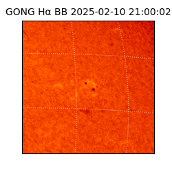 gong - 2025-02-10T21:00:02