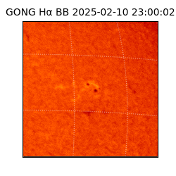 gong - 2025-02-10T23:00:02