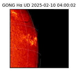 gong - 2025-02-10T04:00:02