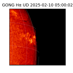 gong - 2025-02-10T05:00:02