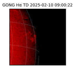 gong - 2025-02-10T09:00:22